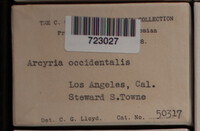 Image Associated With the Occurence
